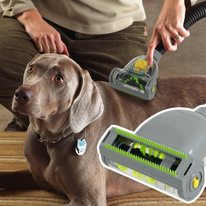 Vacuum Cleaner Mini Turbo Brush Pet Hair Removal Floor Tool for Hoover (32mm)