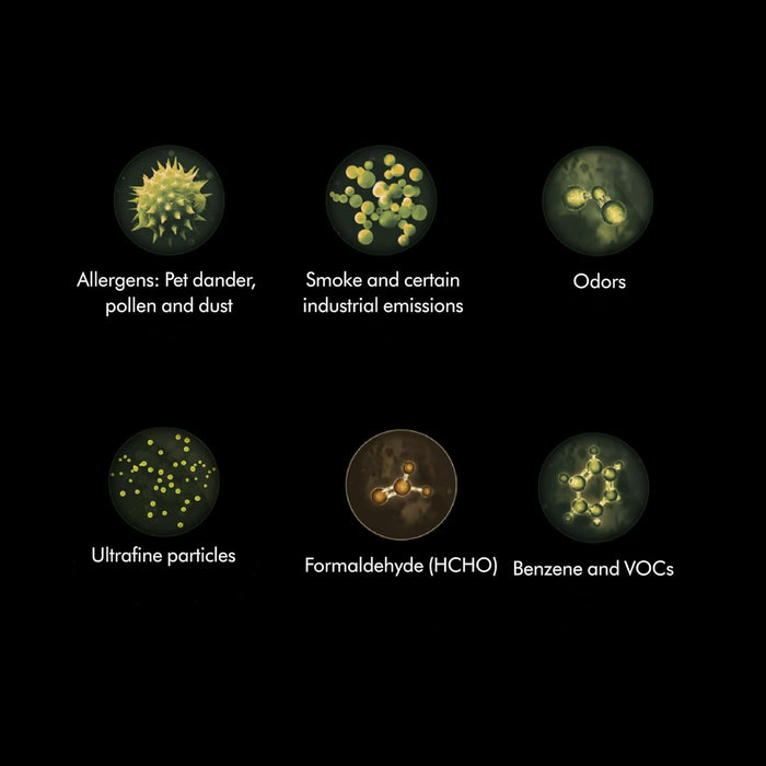 Dyson Glass HEPA Filter for Air Purifier Pure Cool Link Tower Genuine 967089-17 (Pack of 2)