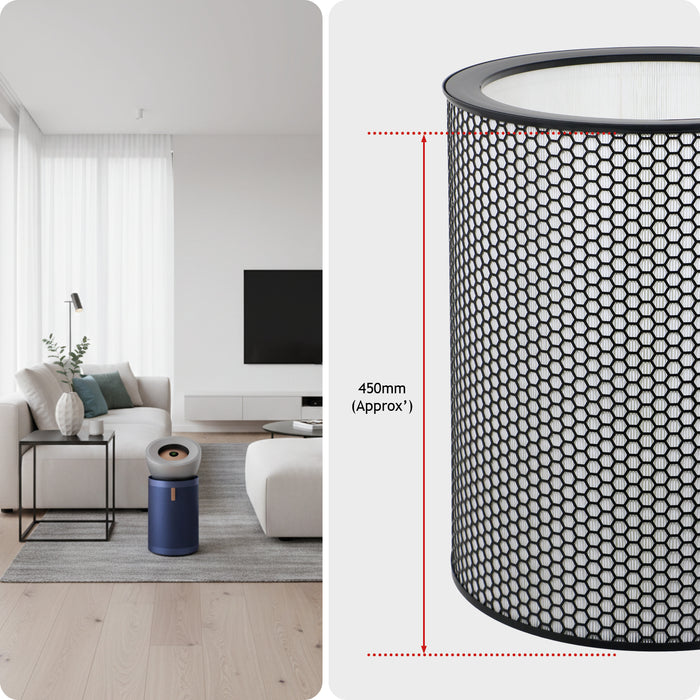 DYSON Big & Quiet Air Purifier Filter BP03 BP04 BP06 True HEPA 972132-01