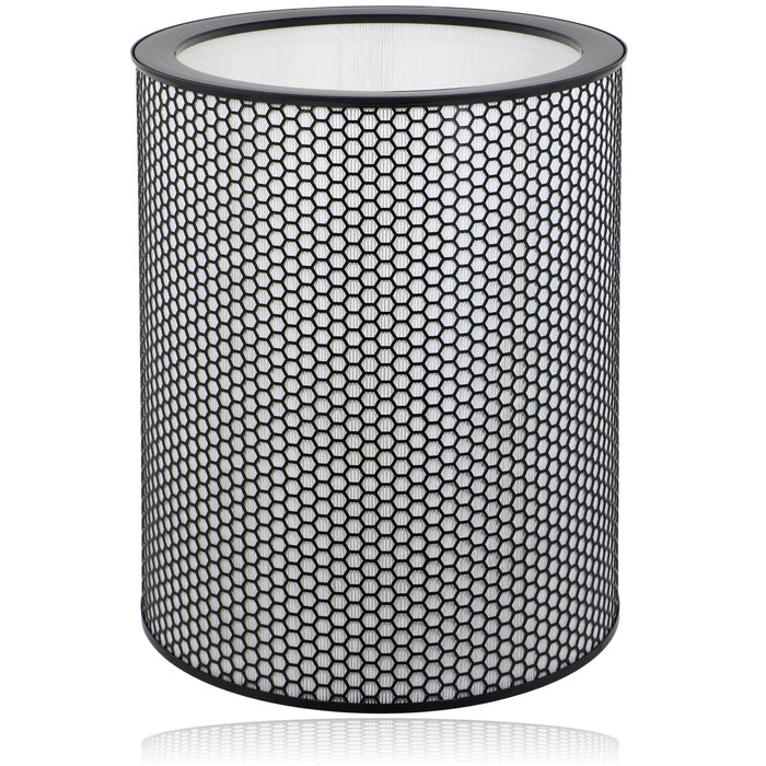 DYSON Big & Quiet Air Purifier Filter BP03 BP04 BP06 True HEPA 972132-01