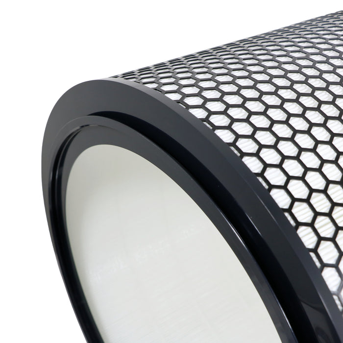 DYSON Big & Quiet Air Purifier Filter BP03 BP04 BP06 True HEPA 972132-01