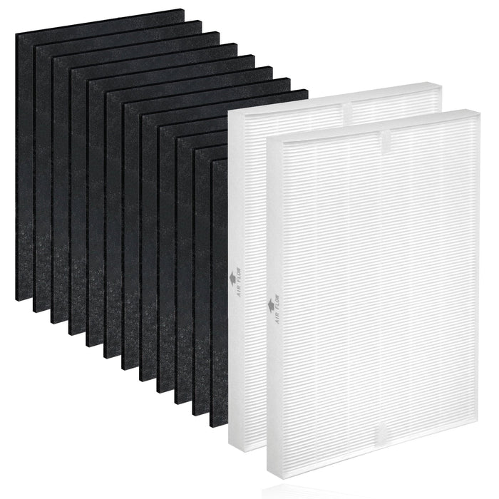 HEPA Carbon Filter for WINIX PlasmaWave 5300 6300 5300-2 6300-2 P300 Purifier x 2 + Fresheners