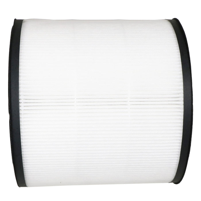 Filtro HEPA Igiene Di Ricambio Per Aspirapolvere Philips FC9153/08 Performer
