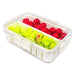 Food Storage Container with Securing Clips Lid and 2 Removable Divider Compartments (Small)