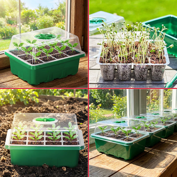 Seed Starting Propagator Tray Garden Plant Seedling Germination Starter Grow Kit (Pack of 10)