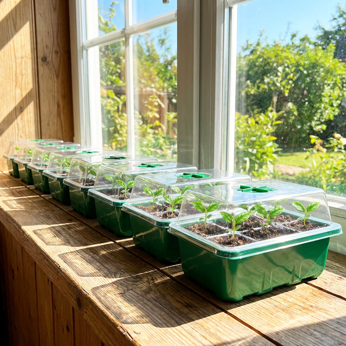 Seed Starting Propagator Tray Garden Plant Seedling Germination Starter Grow Kit (Pack of 10)