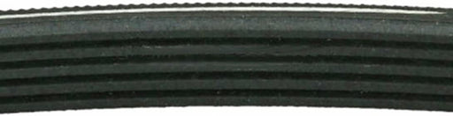 1245J5 Poly V Drum Drive Belt for Electra Washing Machine