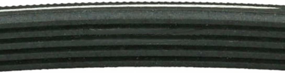 1245J5 Poly V Drum Drive Belt for Indesit Washing Machine