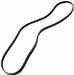 1245J5 Poly V Drum Drive Belt for PRIVILEG Washing Machine