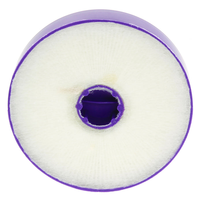Post Motor Filters for Dyson DC04 DC05 DC08 DC19 DC20 DC29 Vacuum Cleaner HEPA (Pack of 2)